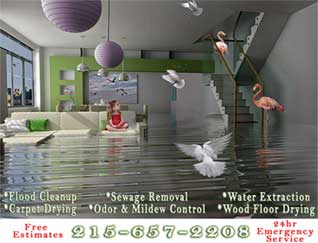 Flood Clean Up, Sewage Removal, Water Extraction, Basement Drying, Odor & Mildew Removal